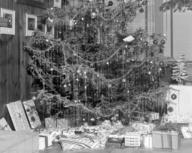 Presents stacked beneath a Christmas tree