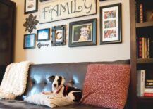 Picture gallery in the living room, centered is a big "Family" picture fronted by a dog sitting on a coach.