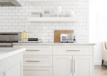 Two dogs in a minimalist white kitchen that has two floating shelves.