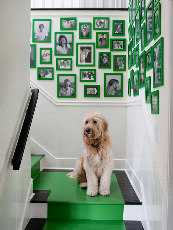 Corner stairway gallery with green picture frames, green floor carpet, and a dog.