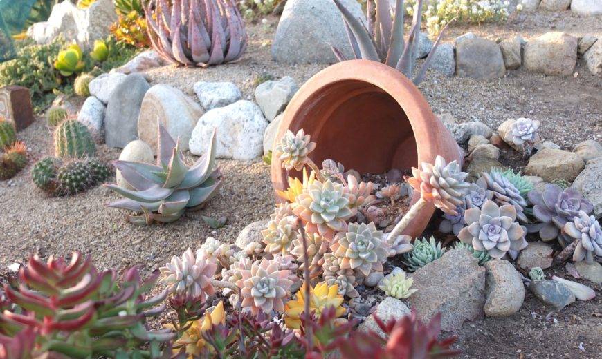 30 Succulent Garden Ideas for Small Spaces: Stunning Planter and Arrangement Ideas