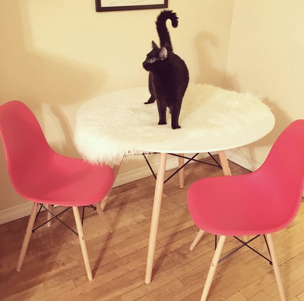 A minimalist white table is surrounded by two vibrant red chairs. The chairs' curved backs and sleek legs add a touch of modernity to the scene.